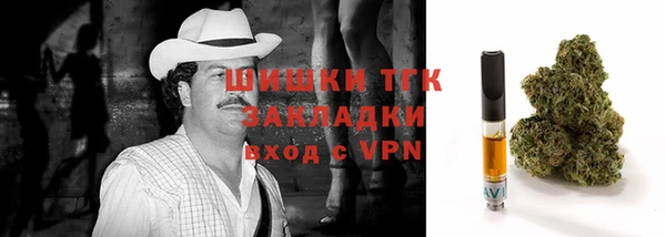ПСИЛОЦИБИНОВЫЕ ГРИБЫ Вязьма