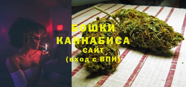 ПСИЛОЦИБИНОВЫЕ ГРИБЫ Вязьма