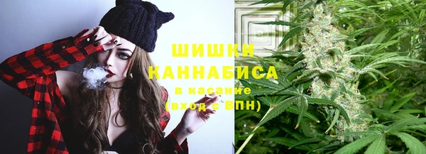 ПСИЛОЦИБИНОВЫЕ ГРИБЫ Вязьма