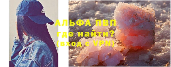 ПСИЛОЦИБИНОВЫЕ ГРИБЫ Вязьма