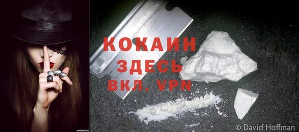ПСИЛОЦИБИНОВЫЕ ГРИБЫ Вязьма