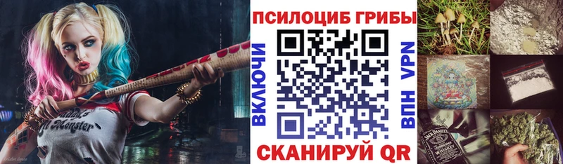 Псилоцибиновые грибы Psilocybine cubensis Купить закладки Ельня