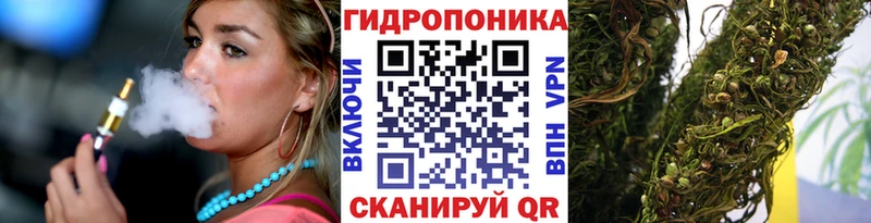 Бошки Шишки White Widow  Купить где  Ельня 